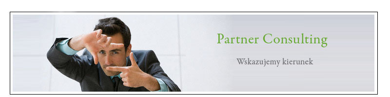 Partner  Consulting doradztwo informatyczne