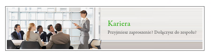 Partner  Consulting doradztwo informatyczne