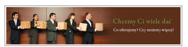 Partner  Consulting doradztwo informatyczne