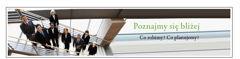 Partner  Consulting doradztwo informatyczne