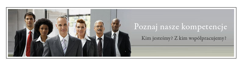 Partner  Consulting doradztwo informatyczne